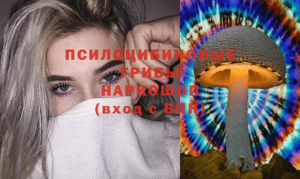 прущая мука Ельня