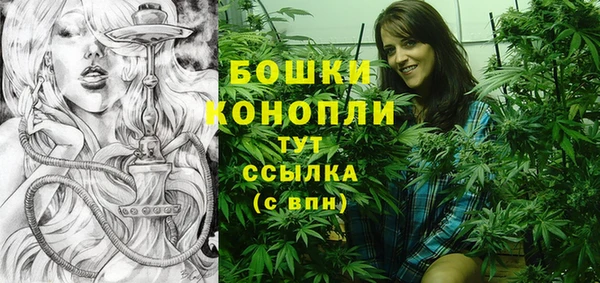 винт Елизово