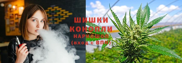 прущая мука Ельня