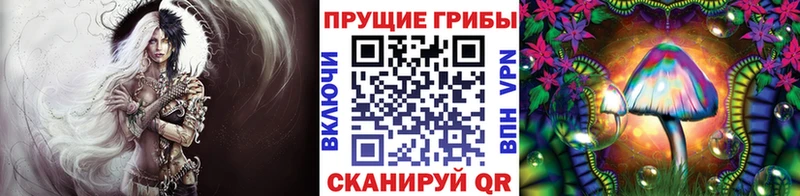 Псилоцибиновые грибы Cubensis  Купить где  Петровск 